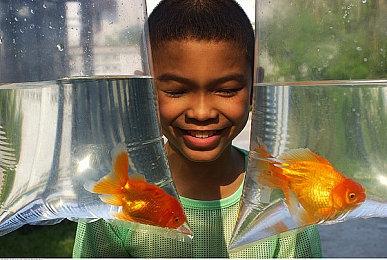 “FF森友会”？ 《最终幻想14》国际服将增私人岛屿